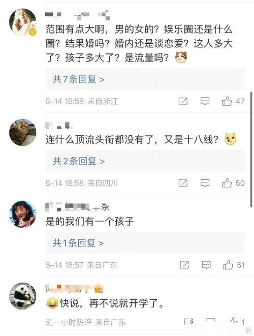 吃瓜八卦预告视频大全集,吃瓜达人必看！预告视频大全集深度解析