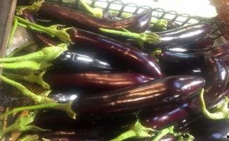 吃瓜视频茄子,茄子美食大揭秘