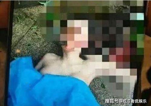 吃瓜小三被抓现场原视频解说,吃瓜小三被捕瞬间，原视频揭秘惊人细节